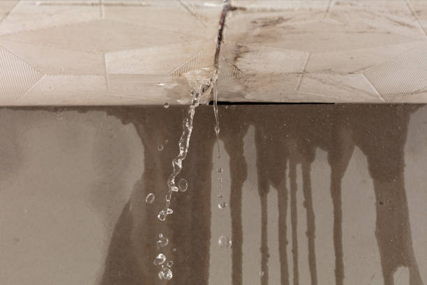 Professional Structural Drying technician working in Cairo, MO